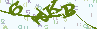 reload image