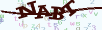 reload image