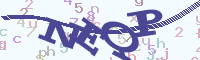 reload image