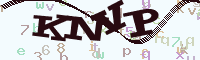 reload image