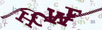 reload image