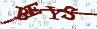 reload image