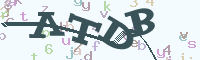 reload image