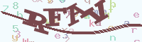 reload image