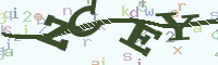 reload image