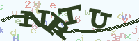 reload image