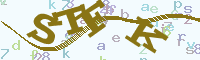reload image